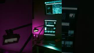 The Netrunner's Desk