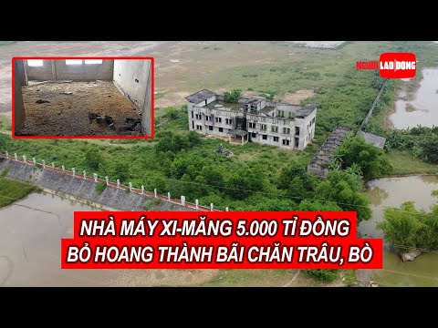 Video Nhà máy xi-măng 5.000 tỉ đồng bỏ hoang thành bãi chăn... - youtube