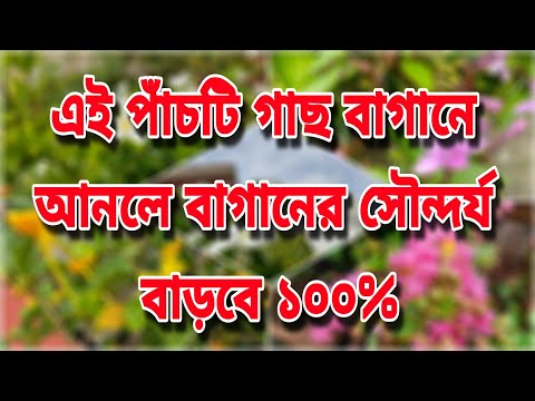 ভিডিও: বাড়ির বাগানের রহস্য। পার্ট 5