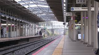 期待の新車 3100形3151F 新車体験乗車ツアーの様子