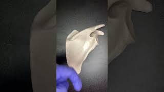 Anatomy Hack: Quickly Identify Left vs Right Scapula 🤔 Net Worth