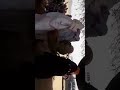 احيدوس ايت خباش القديم