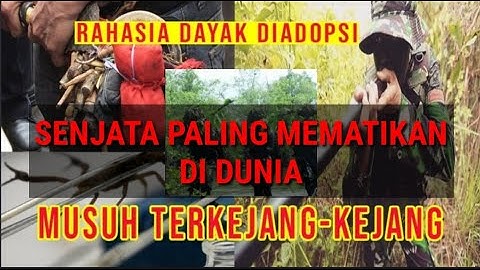 Senjata Perang Paling Mematikan Ternyata Ada di Kalimantan BRAVO TNI