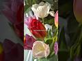 ME THE MOMENT I RECEIVE FLOWERS #receivingflowers #tulips #hellomarch #buchetdeflori #lovemonth