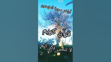تلاوة خاشعة تريح القلب ❤️إني جزيتهم اليوم..... اسلام صبحي/#خواتيم_سورة_المؤمنون #إسلام_صبحي