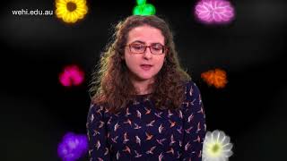 Download Lagu Go behind the scenes with Simona Seizova | Parasite bouquet MP3