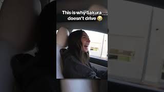 Sakura fits right in with LA drivers 😂 #sakurashymko