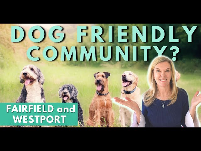 Moving to Fairfield and Westport with Pets? | The BEST places to bring your dog in town
