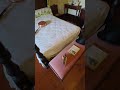 4K, Historical Ormiston House Interior Highlight #shorts #historichouse #australianhistory