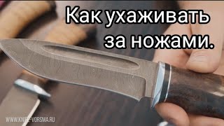 Как правильно ухаживать за ножами. Какая сталь требует ухода?