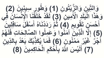 095سورة التين عبد المحسن القاسم