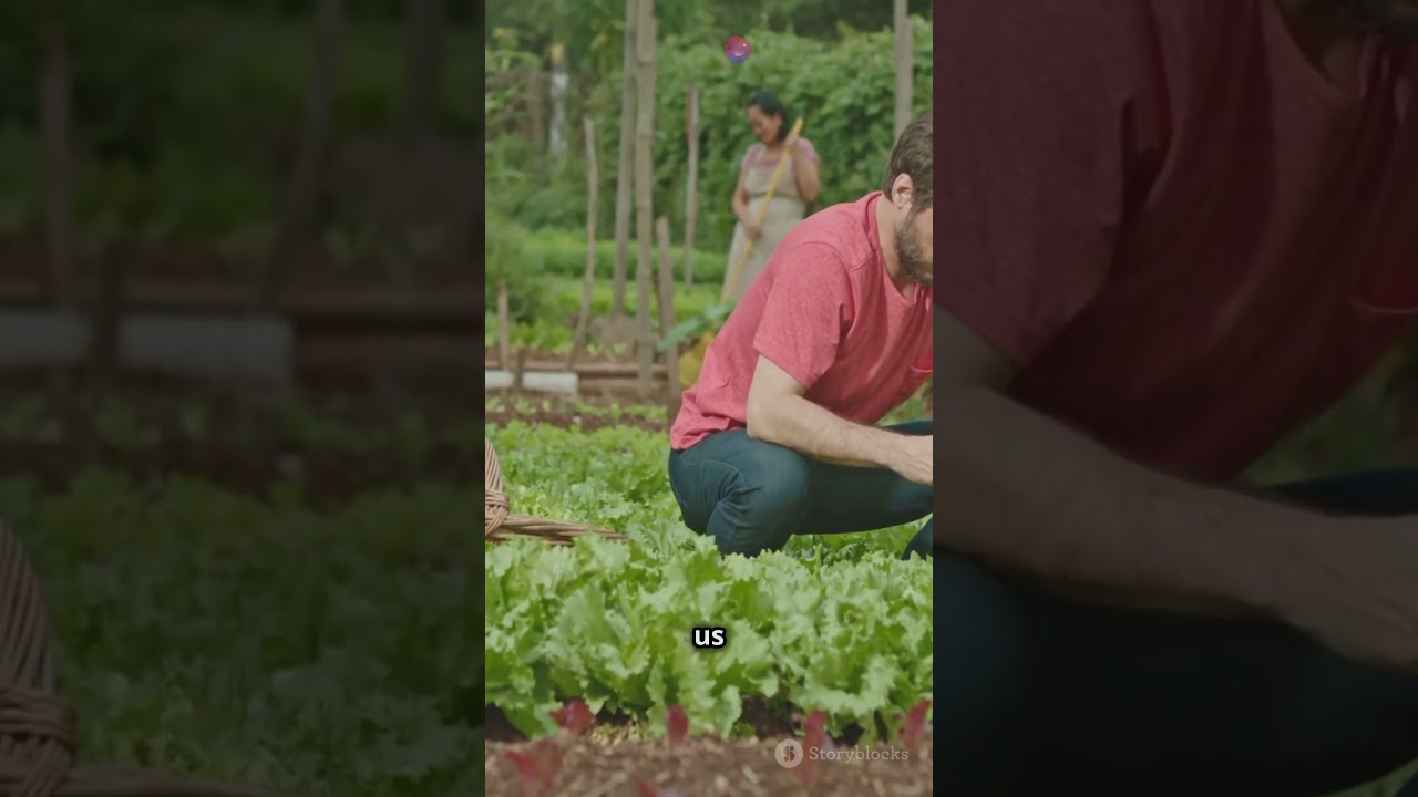 Rediscovering Wild Wisdom: Nature's Lessons 