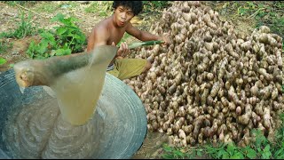 Life In Jungle Technology Arrowroot create Jelly - bumping Arrowroot fake flour