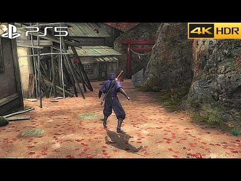 Video: Tecmo Planlægger Monster Ninja Gaiden-opdatering