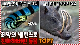 생존에 불리한 최악의 밸런스로 진화한 동물 TOP7