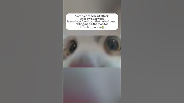 This is sad #sad #cat #pets #grief #emotional #love