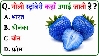 GK Question || GK In Hindi || GK Question and Answer || GK Quiz || Quiz Spy