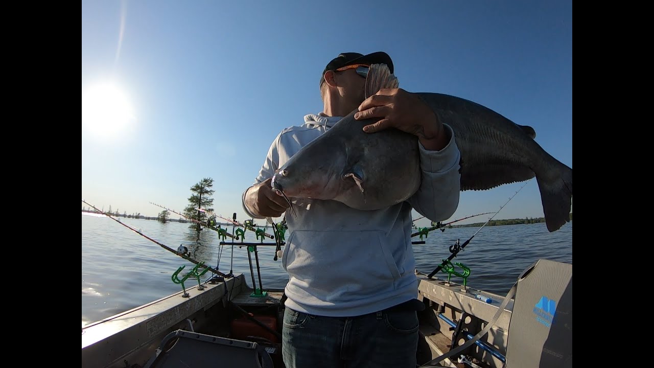 Testing Lew's Cat Daddy Catfish Rod Combo, Fishing For Catfish 