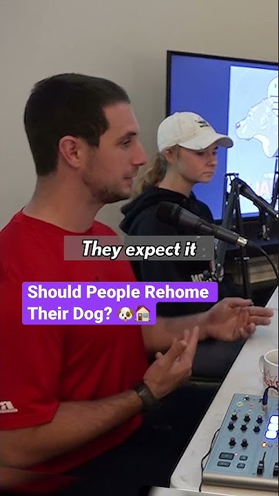 should-i-rehome-my-dog-shorts-youtube