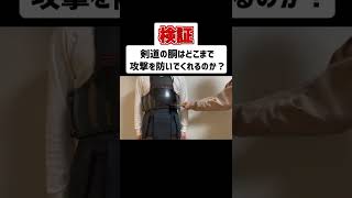【short】剣道の胴はどこまで攻撃を防いでくれるの？