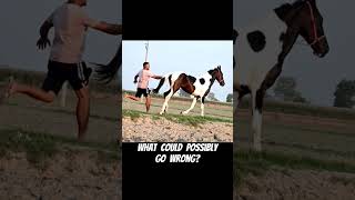 Famous Seriously, Don't Do Any Of This! So Many Red Flags Profile