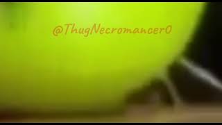 Dreamybull Apple Incident part 2