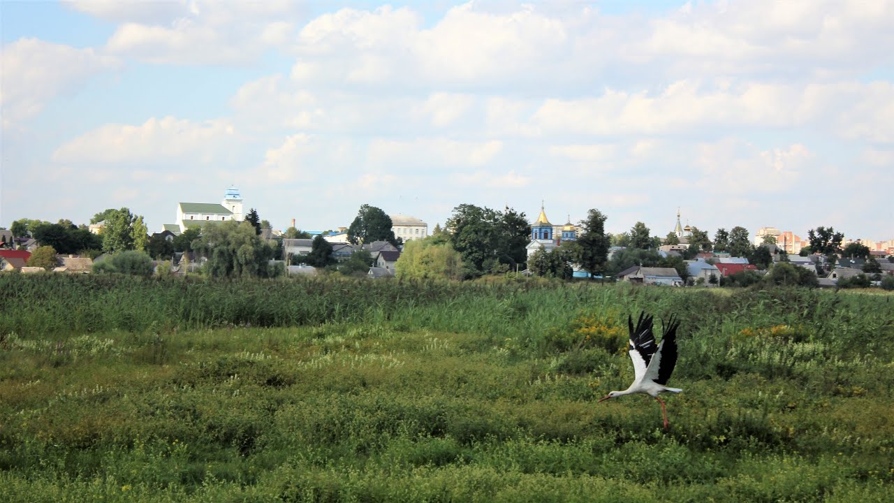 Дубовець: незнана історія Дубна
