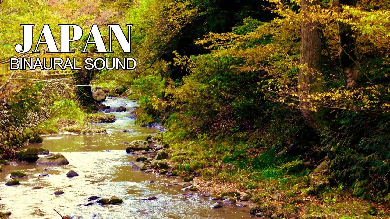 【自然環境音:ASMR】秋の川のせせらぎ、渓流の音 - Nature Sounds 【日本の美】|バイノーラル録音による究極の臨場感【# 27 ...