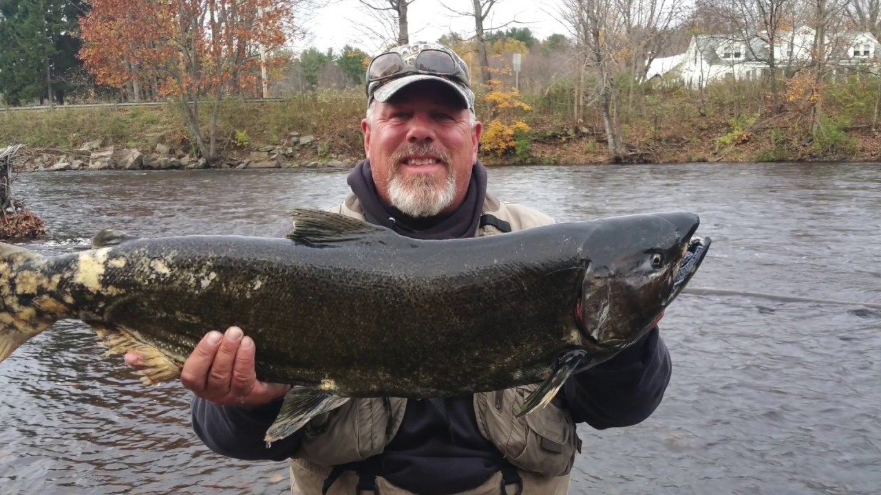 salmon fishing trips ny