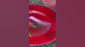 ASMR Crushing Crunchy & Soft Things by Car EXPERIMENT ( Very Satisfying & Relaxing ) #shorts