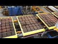 Brick paver plant in orlando