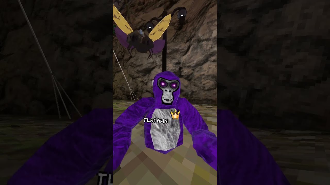 Thank You So Much Edit Gorillatag Gorillatagquest Biblepassage Vr Bibleverse Gtag John316