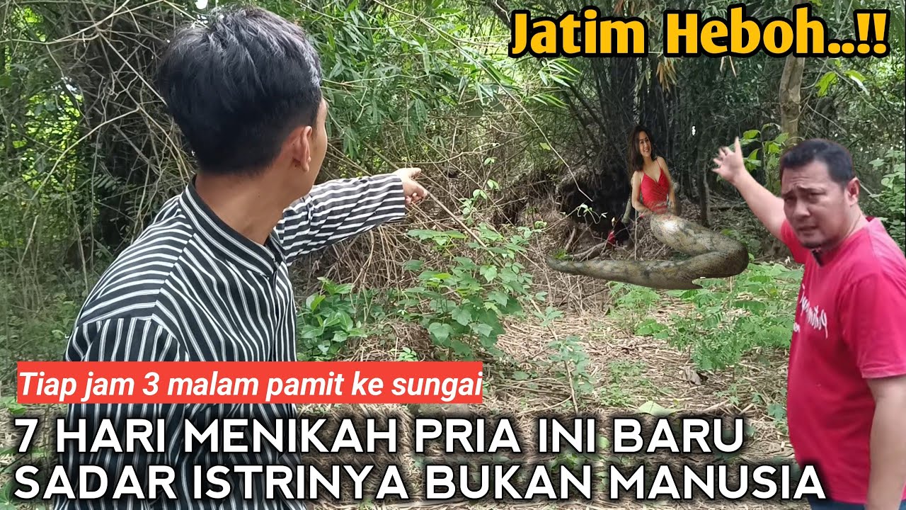 VIRAL !! 7 HARI MENIKAH,BAPAK INI BARU TAU KALO SELAMA INI ISTRI'NYA BUKAN MANUSIA