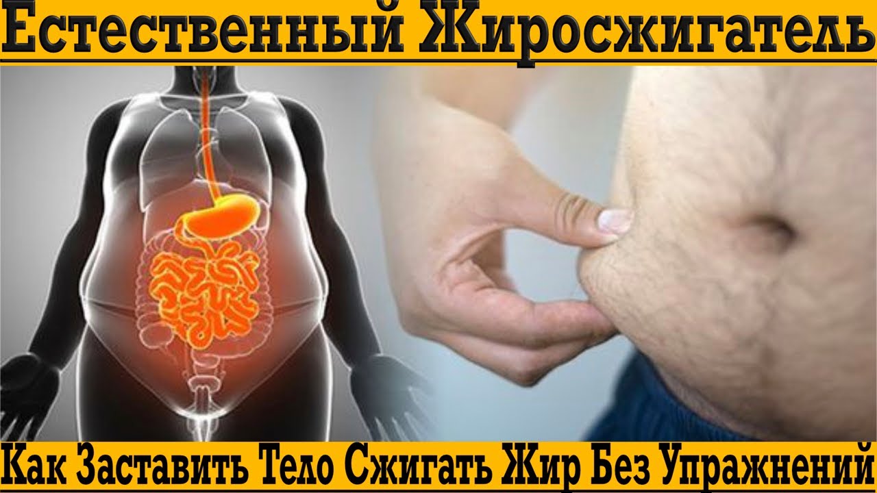 Природный Жиросжигатель Ждет Пока Ты Его Включишь!