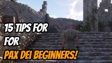 15 Essential TIPS for PAX DEI Beginners