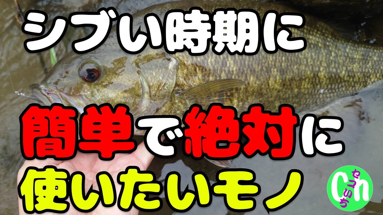 根掛かりしない最高のルアー‼️とにかく釣れて簡単‼️【ブレディ】【5月】【GW】【川スモール】【Black bass】
