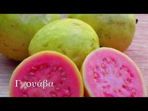 Βίντεο: Πρέπει να αραιωθούν οι γκουάβα: Τα οφέλη της αραίωσης των φρούτων γκουάβα