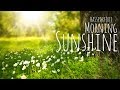 Happy Instrumental Background Music for Video - Morning Sunshine