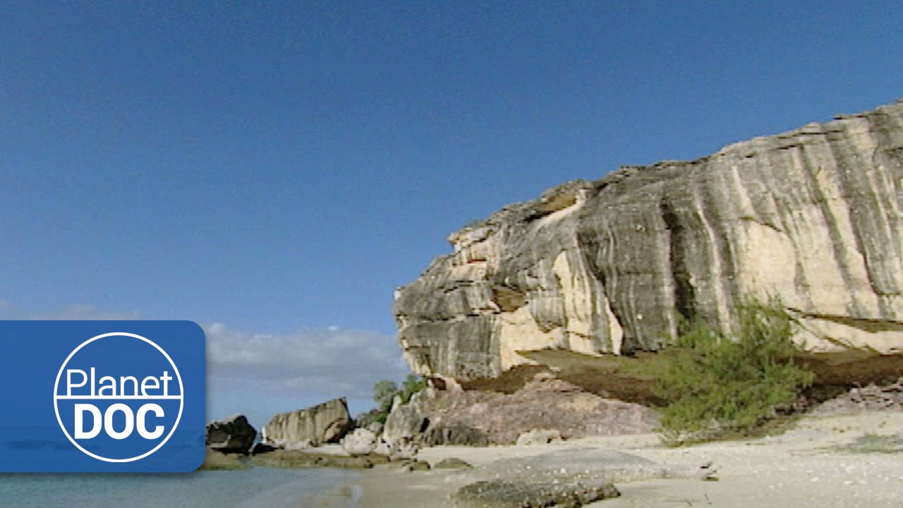 Film backdrop image for Kakadu National Park (2015)