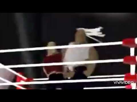 Bein Sports Ident Halaba TV Ident 2012 2015 2024