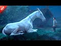 A Poor Farmer Finds a Magical Horse That Changes His Life and He Becomes the King