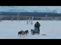 With lack of snow in Anchorage, mushers head north