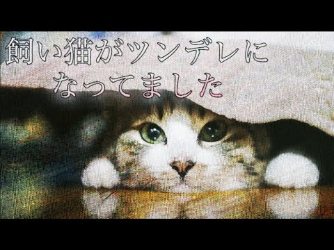 【女性向け】飼い猫がツンデレになってました【立体音響】