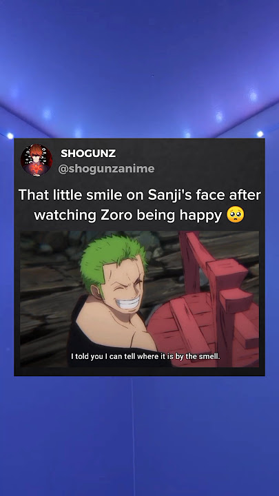 I know Zoro and Sanji secretly love each other 🥺 #shorts #anime #onepiece #luffy #zoro #sanji
