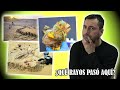 En el Desierto de Atacama Pasaron Cosas Muy EXTRAÑAS y NO se Entiende la Razón