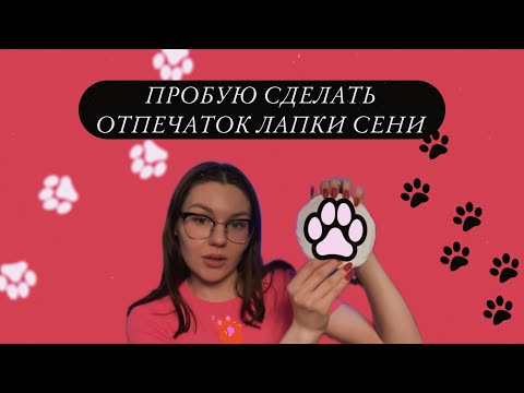 Видео: Как сделать бутылку воды для хомяка дома