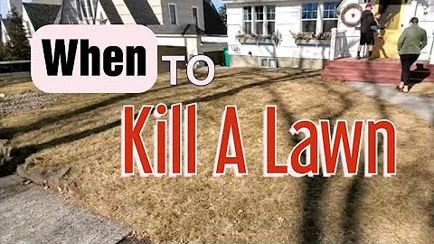 Why Killing A Lawn And Starting Over Makes More Sense