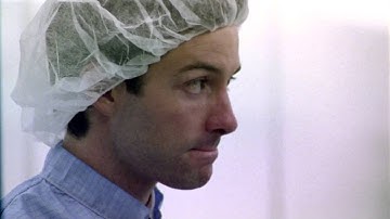 Primer   What they do to Engineers