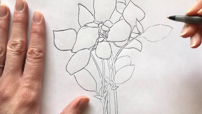 How To Use Graphite Paper To Transfer Drawings - Alvalyn Creative  Illustration