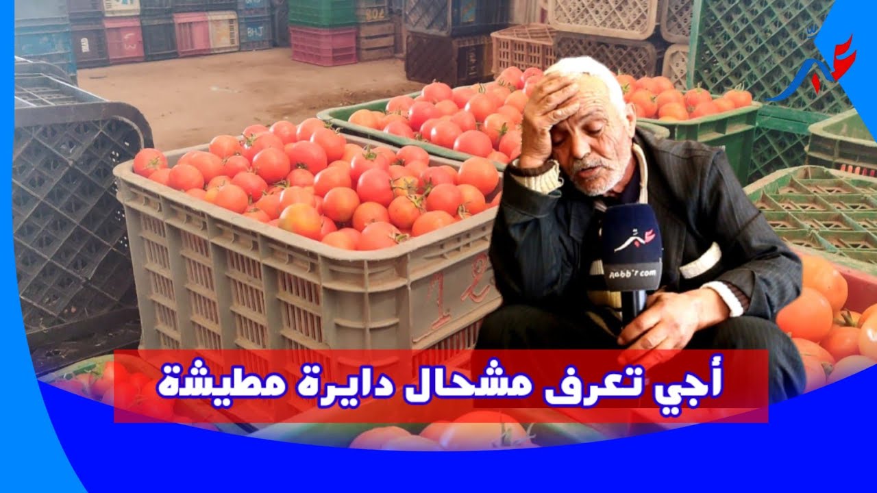 من سوق الجملة للخضر والفواكه بانزكان ماطيشة موجودة و رخيصة